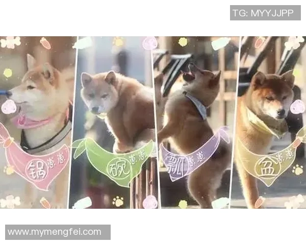 那些踢足球同时撩妹的球星们精彩生活揭秘